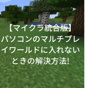 【マイクラ統合版】パソコンのマルチプレイワールドに入れないときの解決方法!